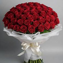 Букет 101 Красная роза Блэк Мэджик в Макарове