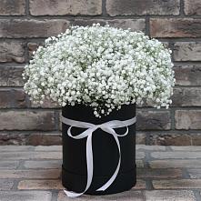 Цветочная композиция из Гипсофила в шляпной коробке в Макарове