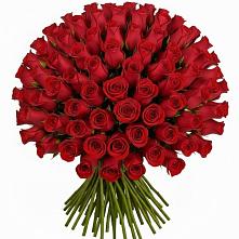 Букет Красные розы Чери Лав в Макарове